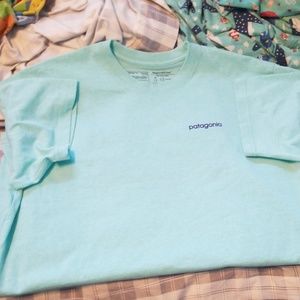 Mens Patagonia tee